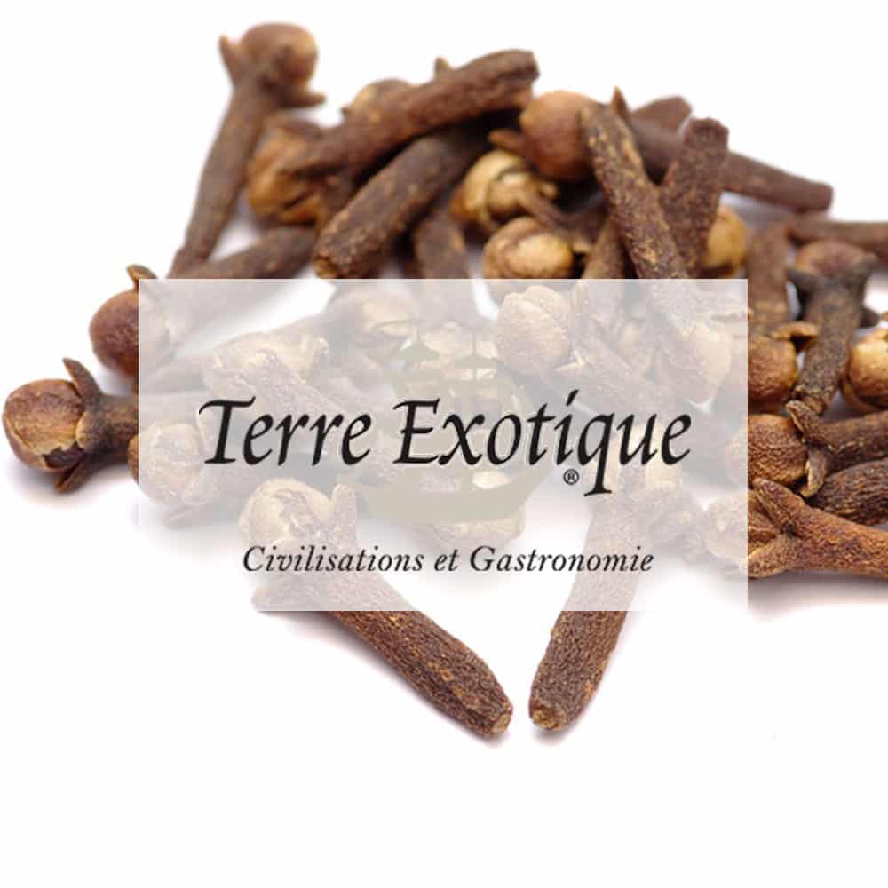 Terre exotique